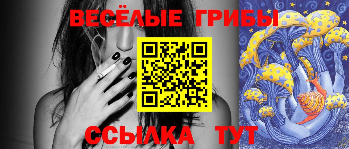 Арсеньев  Галлюциногенные грибы GOLDEN TEACHER  Вход с VPN 